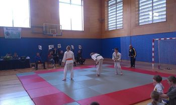 FINALE SLOVENSKEGA POKALA V JU JITSU ZA MLADE V SEVNICI,
