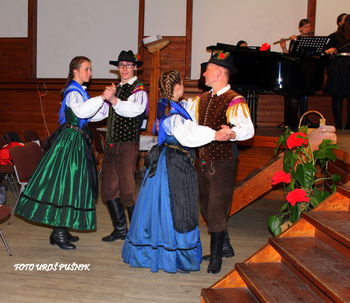 Medkulturno sodelovanje