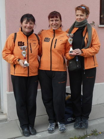 Regijska prvenstva zračno orožje 2015