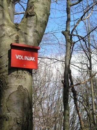 POHOD NA VOLINJAK