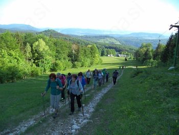 Društveni pohod na Mirno goro Društveni pohod na Mirno goro