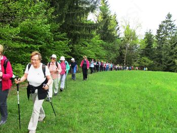 Vandrovke prehodile pot od Smrečja Lavrovec in Goli vrh