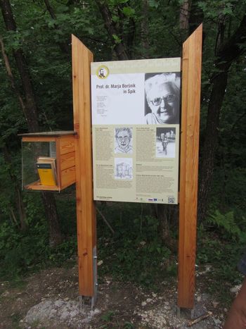 V Kranju počastili spomin na našo rojakinjo prof. dr. Marjo Boršnik
