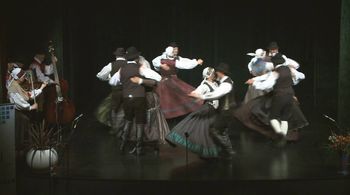 Regijsko srečanje odraslih folklornih skupin Regijsko srečanje odraslih folklornih skupin
