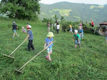 Vetrnice in Metuljčki na kmetiji
