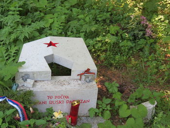 Objestnost prevladala človečnost