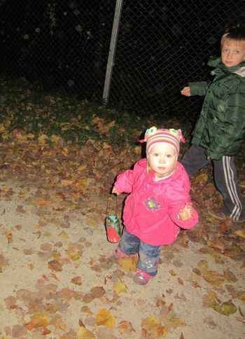 Moteno delovanje javne razsvetljave na Igu