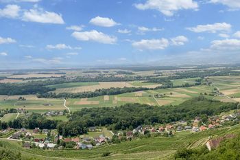 Predavanja v času občinskega praznika