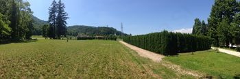 Vabilo na otvoritev zeliščnega vrta Trebnik