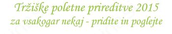 Tržiške poletne prireditve 2015