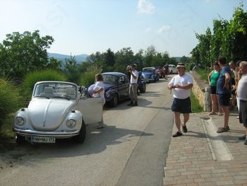 HROŠČI STARODOBNIKI TUDI NA VINOGRADNIŠKI GORI "LISEC"