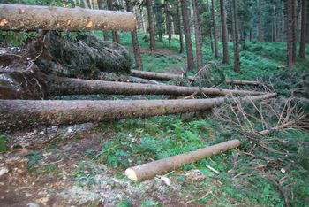 Markacisti PD Slovenj Gradec smo čistili pot čez Kal »Romarsko pot« na Uršljo goro Markacisti PD Slovenj Gradec smo čistili pot čez Kal »Romarsko pot« na Uršljo goro
