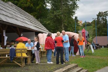 Koroška v gibanju brez tobaka