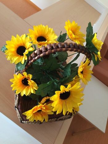 Prvi stanovalci bodo vseljeni v oddelek SONČNICE