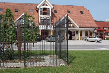 Jejmo ribe za bolj zdravo življenje