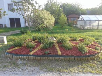 Urejena cvetlična greda v Tomaški vasi