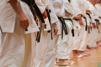 KARATE - VPIS NOVINCEV
