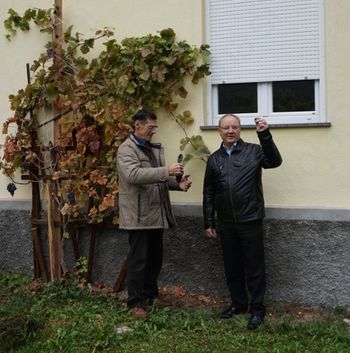 5. TRGATEV MEŽIŠKEGA GROZDA