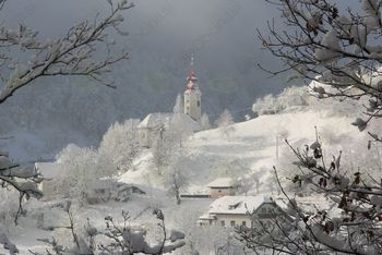 Predstavitev  JAVORJA