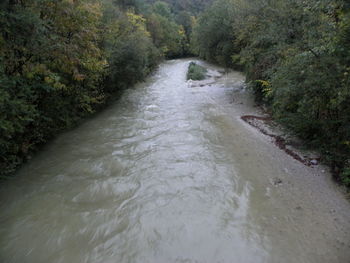 Iška pri mostu Iška vas-Iška, četrtek ob 8 uri