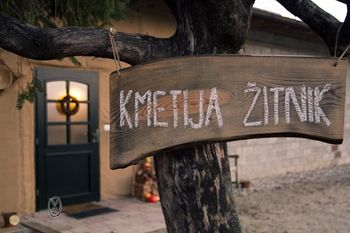 Pričel se je Festival idej