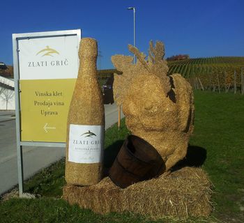 Martinovanje 2015