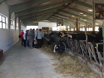DPŽ Dolenjske Toplice na strokovni ekskurziji DPŽ Dolenjske Toplice na strokovni ekskurziji