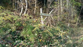 OŠ CIRKOVCE – PLANINSKI IZLET NA STOLPNIK