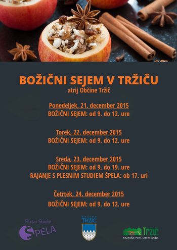 Božični sejem v Tržiču