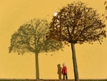 BINCA LOMŠEK USPEŠNA NA XVI. CELJSKI FOTOGRAFSKI RAZSTAVI