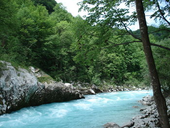 Strpnost in nestrpnost