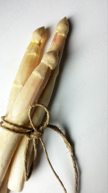 Praznik špargljev 2016