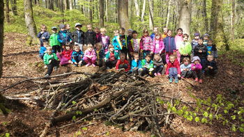 Ali živijo dinozavri v gozdu?