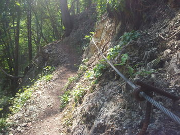 Pot na Osojnico je ponovno urejena