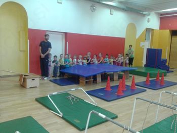 SODELOVANJE S PROFESORJEM ŠPORTNE VZGOJE