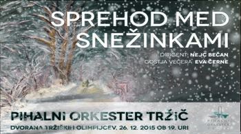 BOŽIČNI KONCERT SPREHOD MED SNEŽINKAMI 26. 12. 2015