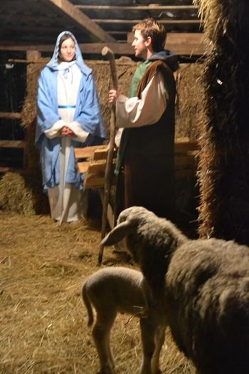 Čar letošnjih živih jaslic v ZOO Rožman