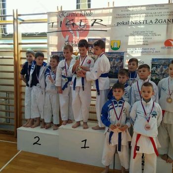 11. KARATE POKAL NESTLA ŽGANKA