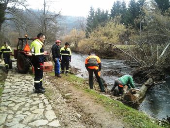 V Sušici podrto drevje ni več ovira