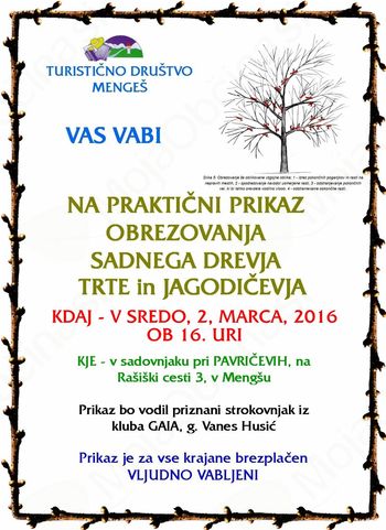 Prikaz obrezovanja sadnega drevja