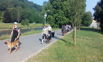 Z malim korakom do skupnega, lepšega jutri