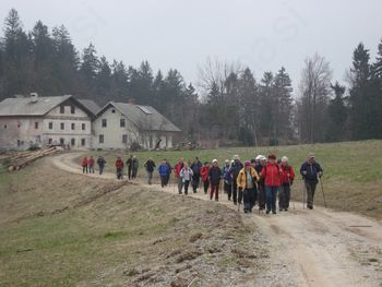 Zimzeleni skoraj na Vrhu Sv. Treh Kraljev