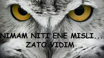 ZDRAV BOJEVNIŠKI SLOG - VRELEC MLADOSTI (6/6)
