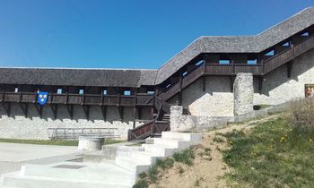 Celjski grad