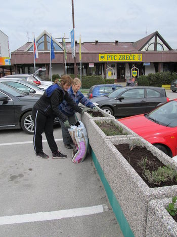 Zasaditev zelišč pred zreško občino