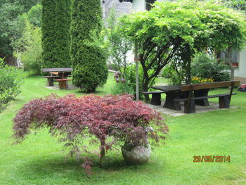 7. POHOD OD ČREŠNARJA DO ČREŠNARJA