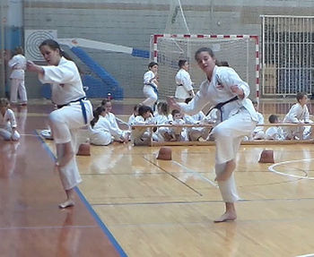 Arlena Šulin in Meri Bužinel v akciji