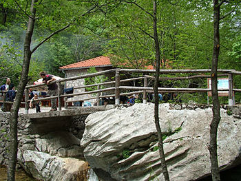 PAKLENICA 