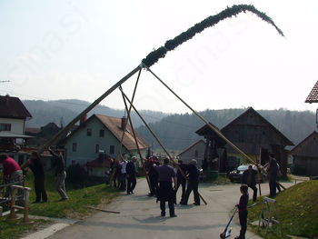Butara velikanka tudi letos varuje Podolnico