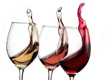 Degustacijski večer Vinakoper in kmetija Vrhivšek
